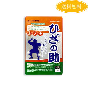 Ђ̏ 30 Tvg veIOJ R[Q