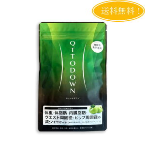 ���o �L���b�g�_�E�� LAVA QTTODOWN 90�� �T�v�������g