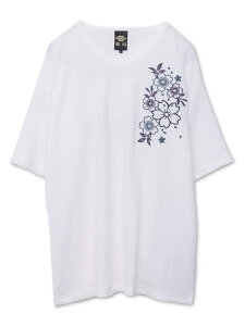 y댋zhJ knVlbNTVcb a eB[Vc  ʔ Y fB[X jZbNX  ĕ t t  zCg O[  ubN M L XL LL 2L XXL 3L 傫TCY lC 