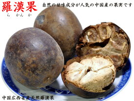 ラカンカ 羅漢果 20粒入り 天然の甘み ロカボダイエットで話題 ラーメンの出汁にも