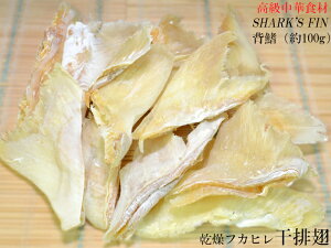 tJq r wh Ղ100gi12-15j