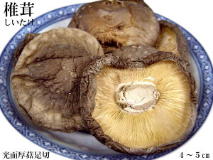 椎茸 しいたけ 業務用500g 光面足切 菌床 4-5cm