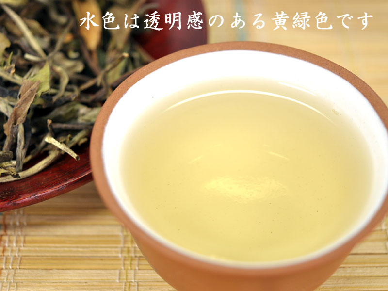 大人気定番商品 中国茶 お茶 茶葉 白茶 2020年 白牡丹茶 セール 餅茶 100g