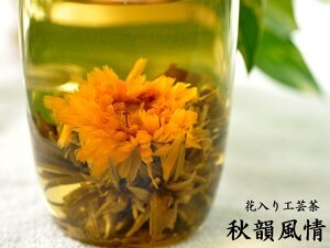 H| ԓ HC Ԃ炭 i2j MtgBOX