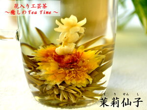 H| ԓ 仐q vZXEWX~ i2j MtgBOX