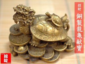 �����O�C�̒u�� �����������T�����i�h���S���^�[�g���j