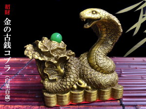 ւ̒u RuiؕS΁j 2025Nx