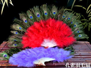 Hѐ S[WXȍEH RXv̏ɁI