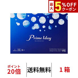送料無料 プライムワンデー 1箱30枚入り 1日使い捨て プライムワンデー モイスト クリアレンズ コンタクト コンタクトレンズ アイレ 白宮みずほ ネオサイトワンデー