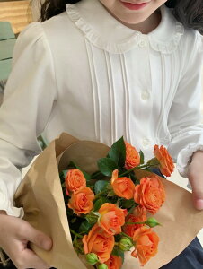 yȊOzw ̎q   ܎O  \LbY̎qqX[ctH[}zCgVcuEX100`160cmrbNTCY@@GD