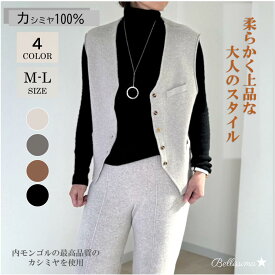 【送料無料】カシミヤ100％ ベスト ジレ カシミア ニット 天然素材 ベーシック シンプル 無地 ギフト プレゼント 無料ラッピング ミセス 誕生日 クリスマス インナーベスト 実用的 あったか 防寒 定番 母の日 秋冬 レディースファッション 秋 冬 コーデ ゆったり