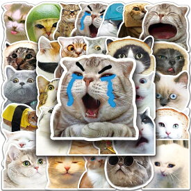 猫 ステッカー かわいい 猫シール 猫ミーム ステッカーおしゃれ 可愛い漫画 ねこステッカー 50枚セット