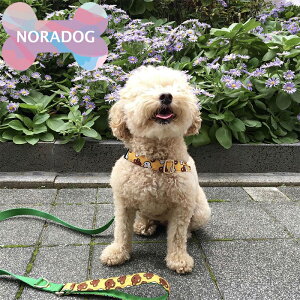 NORADOG mhbO BoBo & ChuChu/{{``C[W[n[lX(uEorO[)^ XL~3XL  ȒP ɂ EȂ Eɂ qh~ AEghA ԕ