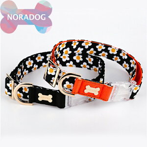 NORADOG mhbO Daisy/fCW[ J[()XL/W J[() ^ ^ ^  킢