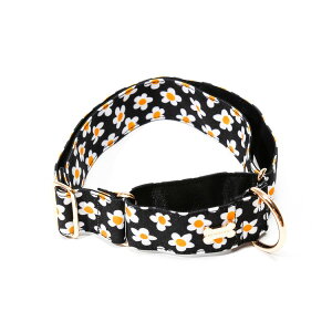 NORADOG mhbO Daisy/fCW[ }[eBQ[ J[()S`XL J[() ^ ^ ^  킢