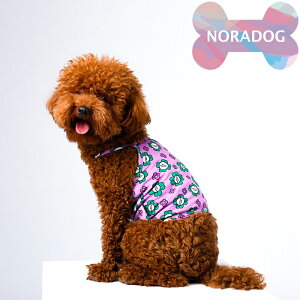 NORADOG mhbO Mr.Clover/Mr.N[o[ N[m[X[uVc()S`XLTCY V ΍ hbOEFA  ^ p ڐG⊴ h 悯 f  EFA hbOEGA 
