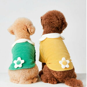 NORADOG mhbO 2023H~V velour ShirtsxAVcS`2XL ^E^  킢 n[lX [h  U o ȒP uh ~J ybg ^ ^ ^  