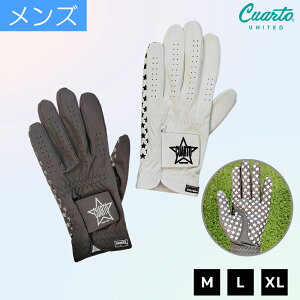 StO[u tFCNU[ o[vg (Ep) Y NAgiCebh StObY 21HS