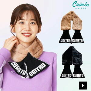 eBybg t@[ }t[ {^ tgS fB[X NAgiCebh StEFA 23BASIC