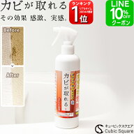 カビ取り カビが取れる カビ取りスプレー 泡 300ml ＼楽天1位／【送料無料】 除去 強力 高濃度 お風呂 か…