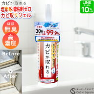カビ取りジェル カビが取れる カビ取り 170g 除去 強力 高濃度 タイル目地 カビ取り剤 お風呂 パッキン …