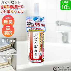 カビ取りジェル カビが取れる カビ取り 170g 除去 強力 高濃度 タイル目地 カビ取り剤 お風呂 パッキン 塩素系 無臭 シンク かびとり ハイター 天井 ふた 壁 浴室 ぬめり まな板 漂白 排水溝【送料無料】
