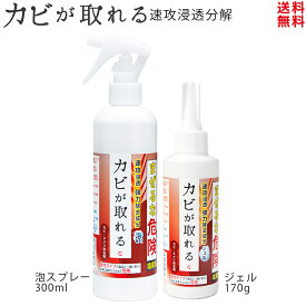 カビ取り【送料無料】カビが取れる set（ジェル+泡スプレー）カビ取りプロ仕様 強力 お風呂 天井 パッキン クロス キッチン 漂白 浴室 かび取り カビ 黴 かびとり ハイター ぬめり まな板 漂白 壁 天井 排水溝