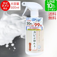 カビ取り カビが取れる カビ取りスプレー 500ml 泡フォーム カビ取り剤 高濃度 強力 大容量 泡成分 お風…