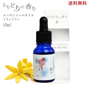 A}IC yCC (ōGNXggp) ChlVAY 10mlz A} A}fBt[U[ A}Xg[ GbZVIC VR A} F nJ` 