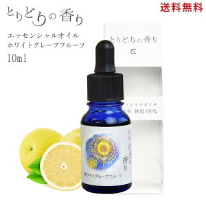 A}IC yzCgO[vt[c V`AY 10mlz A} A}fBt[U[ A}Xg[ GbZVIC VR100% I[KjbN A} F nJ` 