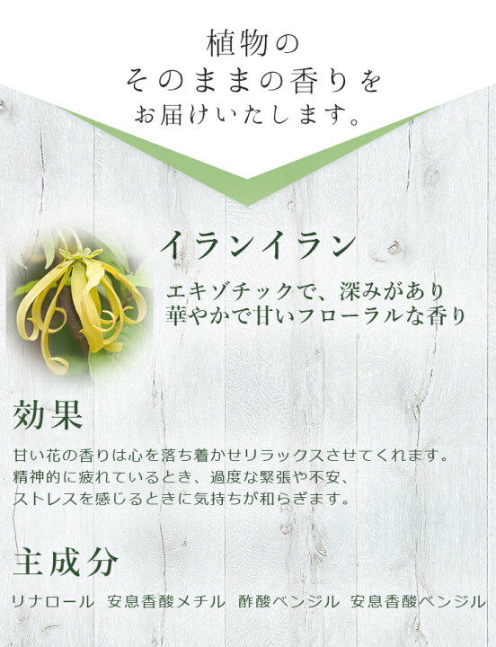 楽天市場 とりどりの香り イランイラン インドネシア産 10ml 人気精油 エキゾチックで深みのある香り エッセンシャルオイル アロマオイル アロマテラピー アロマセラピー ディフューザー マスク アロマキャンドル 100 天然成分 自然本来の香り シー エス