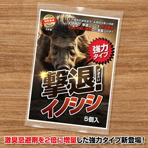   ރCmVV̓^CvOp5 ܂2{ɑʂLV[g  F  ΍ObY 