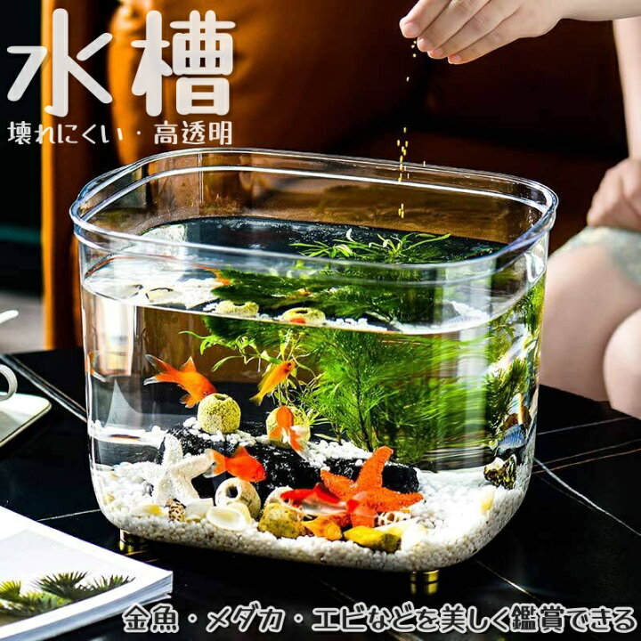 楽天市場】金魚鉢 水槽 飼育水槽 PET テラリウム 透明アクリル 観葉 