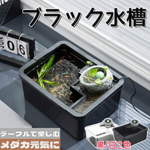 _J   ubN e[u ANAE {E ϗtA  CeA e IuWF eE t[x[X