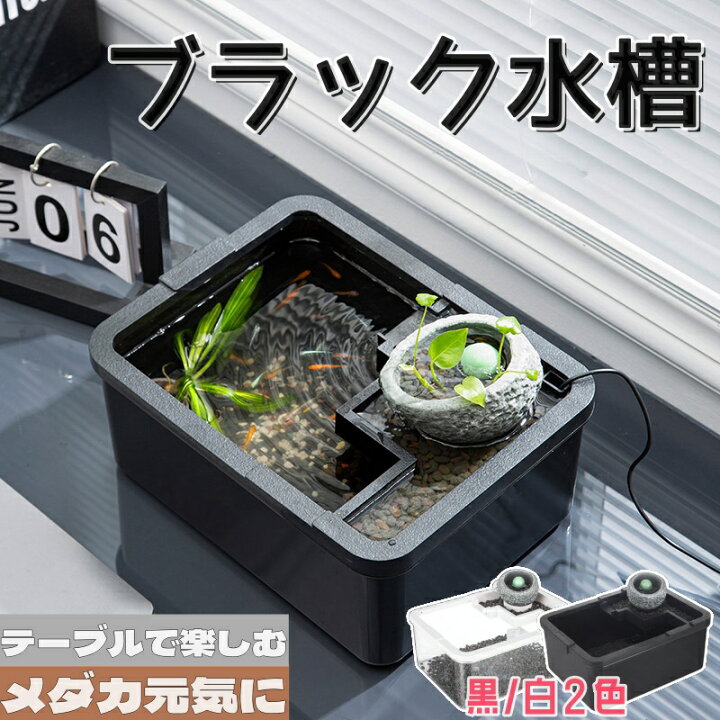 楽天市場】メダカ 水槽 金魚鉢 ブラック水槽 テーブル アクアリウム 
