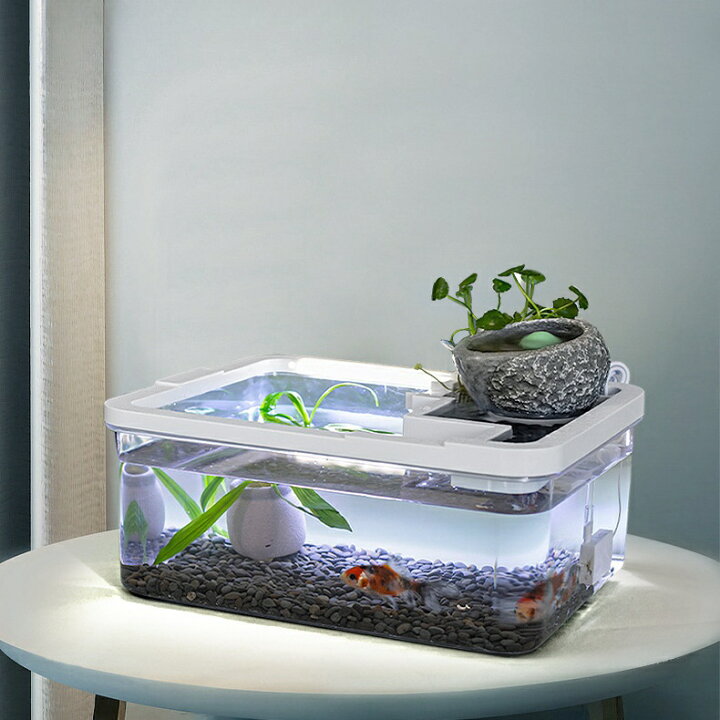 楽天市場】メダカ 水槽 金魚鉢 ブラック水槽 テーブル アクアリウム 