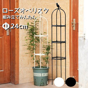 X[IxXN [YIxXN a24cm 120 150 180cm  K[fIxXN o   x x KN o ΂ N}`X K[fjO gX x ؉ | 