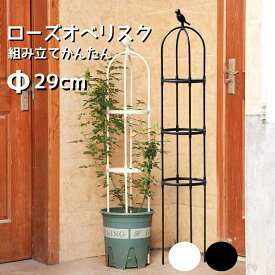 スモールオベリスク ローズオベリスク 直径29cm 高さ120 150 180cm おしゃれ diy ガーデンオベリスク つるバラ つる 花 支え 支柱 薔薇 バラ ばら クレマチス ガーデニング トレリス 支柱 菜園 園芸 家庭菜園 園芸資材 資材 園芸用品 つる植物 プランター ブラック送料無料