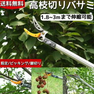 高枝切りバサミ 高枝切鋏 3m 枝切り 高枝切りノコギリ 1.8~3m 採果 キャッチ 高枝切り 剪定鋏 伸縮可能 …