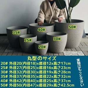 Aؔ  ^ ^ ی^ ȃCeAɂȂ锫 킢 y y 󂯎Mt vX`bN  Op rt ϗtA  Aؔ 7/8/10~16