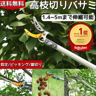 高枝切りバサミ 高枝切鋏 枝切り 高枝切りノコギリ 3m 4m 5m 採果 キャッチ 高枝切り 剪定鋏 伸縮可能 伸…