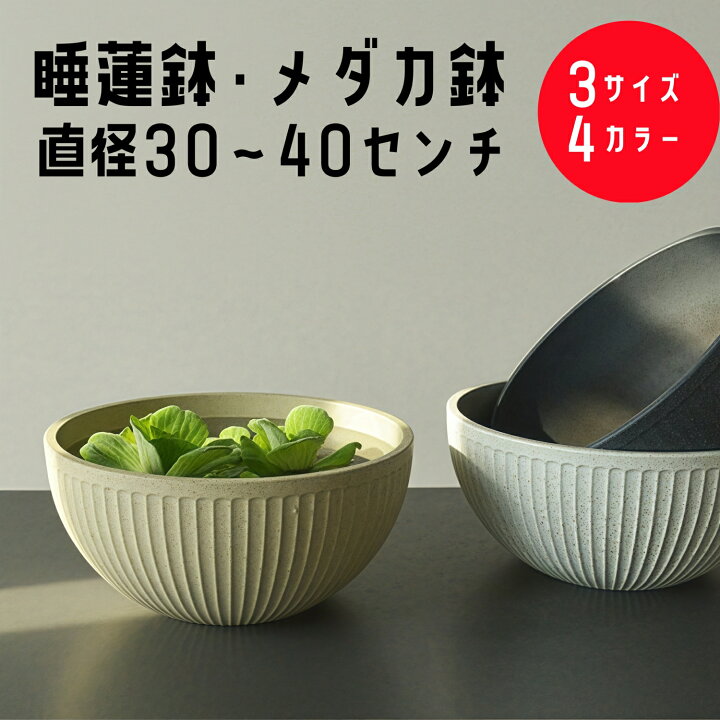 楽天市場】睡蓮鉢 スイレン鉢 メダカ 鉢 金魚鉢 軽量 植木鉢 大型 30 