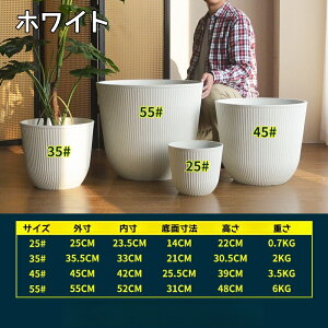 Aؔ ^ ^  k ȃCeAɂȂ锫 킢 y y 󂯎Mt vX`bN  Op rt ϗtA  Aؔ 8/10~18
