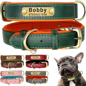 qDt   qD Ȃ܂   v pP ^A^A^p TCY߉\ ybgpi n[lX ̎ U[ y ʋCpbh  