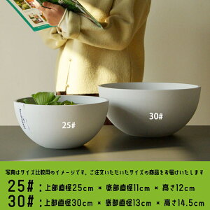 @ _J   XC y Aؔ ^ 25 30cm vX`bN  ۔ 甫  y ɂ  O  A