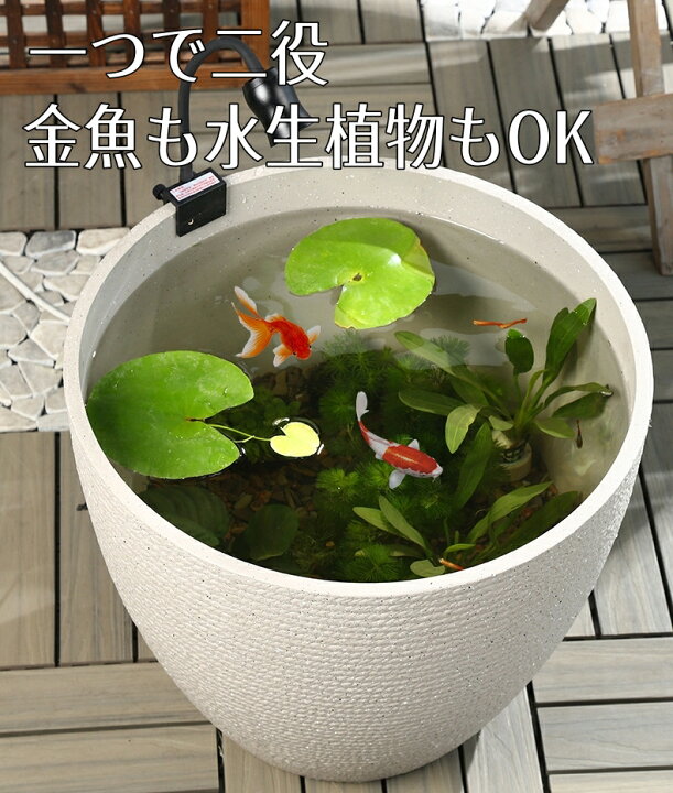 楽天市場】金魚鉢 水鉢 ビオトープ 睡蓮鉢 メダカ鉢 すいれん鉢 メダカ 