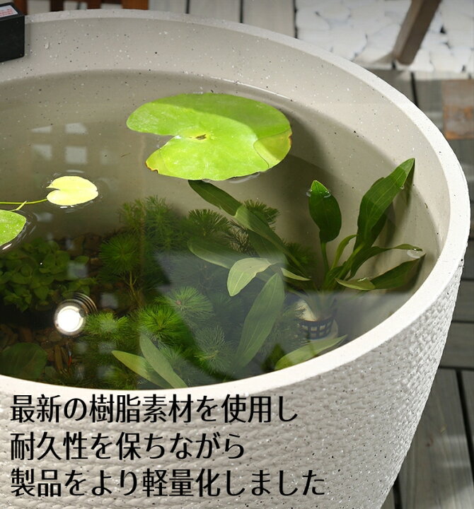 楽天市場】金魚鉢 水鉢 ビオトープ 睡蓮鉢 メダカ鉢 すいれん鉢 メダカ 