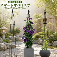 オベリスク アイアン バラ ガーデニン 調節可能 組み立て簡単 クレマチス つる性 植物 diy ローズ 花 支…
