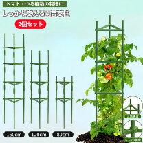 楽天市場】トマト アーチ 支柱の通販