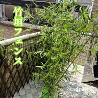 竹垣フェンス フェンス 目隠し 屋外 人工竹 ウォールグリーン 竹フェンス 竹林 笹 造花 竹 七夕 笹 ベラ…